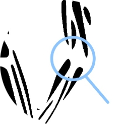 elbow illustration round